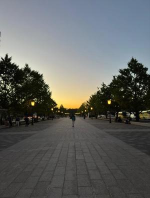 鈴川乃愛の写メ日記｜ハールブルク 吉原高級店ソープ