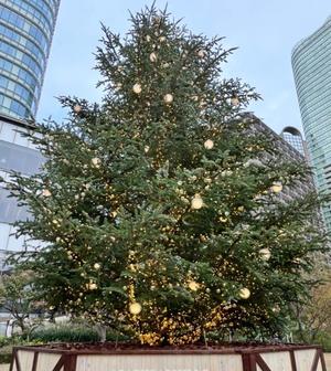 鈴川乃愛の写メ日記|ハールブルク 吉原高級店ソープ