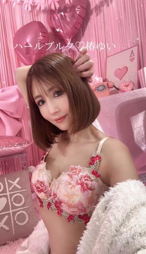 椿 ゆいの写メ日記｜ハールブルク 吉原高級店ソープ