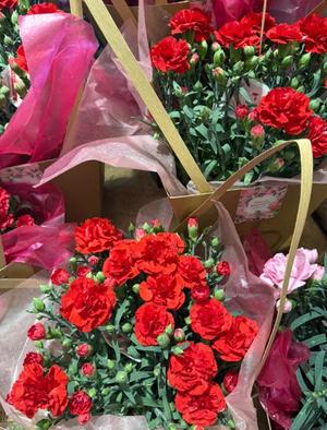 浜崎梨乃の写メ日記｜ハールブルク 吉原高級店ソープ