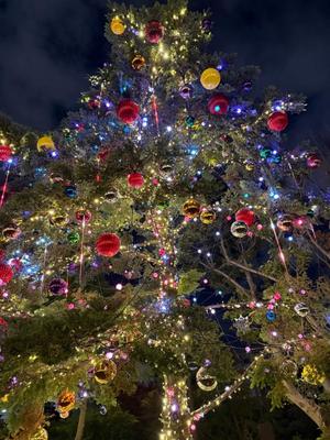 さきの写メ日記｜秘書室 吉原高級店ソープ