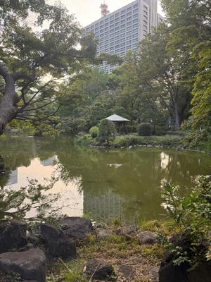 ひかりの写メ日記｜秘書室 吉原高級店ソープ