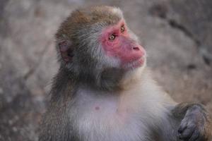 ひかりの写メ日記｜秘書室 吉原高級店ソープ