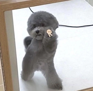 つばさの写メ日記｜女帝 吉原高級店ソープ