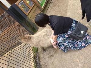 さやかの写メ日記｜女帝 吉原高級店ソープ