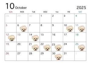 かのんの写メ日記｜女帝 吉原高級店ソープ