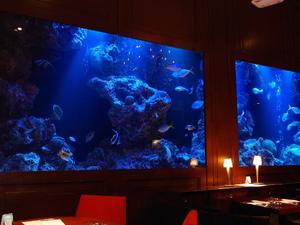 静香の写メ日記｜ラビアンローズ 吉原高級店ソープ