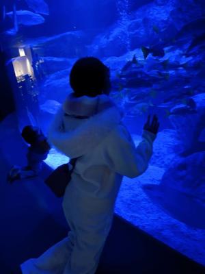 姫桃ももの写メ日記｜ラビアンローズ 吉原高級店ソープ