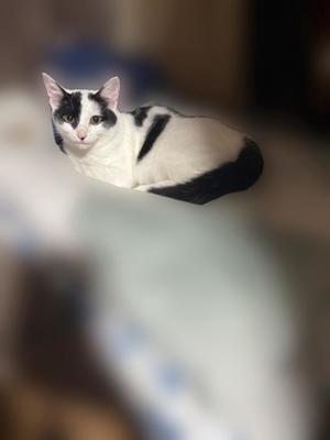 りとの写メ日記｜ラビアンローズ 吉原高級店ソープ