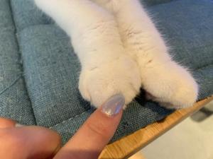 りとの写メ日記｜ラビアンローズ 吉原高級店ソープ