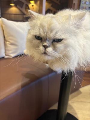 りとの写メ日記｜ラビアンローズ 吉原高級店ソープ