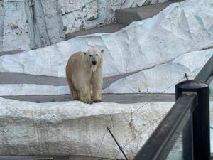 りとの写メ日記｜ラビアンローズ 吉原高級店ソープ