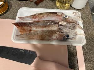 イヴの写メ日記｜ラビアンローズ 吉原高級店ソープ