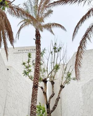 リオナの写メ日記｜ラビアンローズ 吉原高級店ソープ