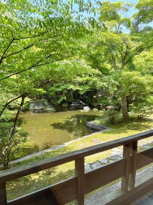 リオナの写メ日記|ラビアンローズ 吉原高級店ソープ