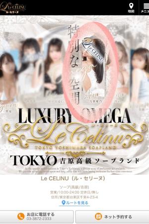 ★九条愛乃の写メ日記｜ル・セリーヌ～Le CELINU～ 吉原高級店ソープ