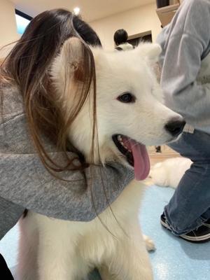 ★さらの写メ日記｜ル・セリーヌ～Le CELINU～ 吉原高級店ソープ