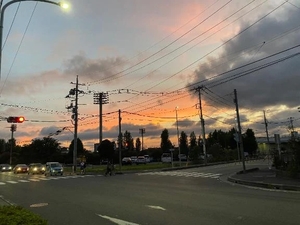 コトリの写メ日記｜ラブ&ピース 吉原格安店ソープ