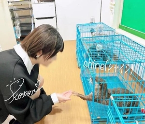 コトリの写メ日記｜ラブ&ピース 吉原格安店ソープ