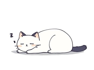 ツクシの写メ日記｜ラブ&ピース 吉原格安店ソープ