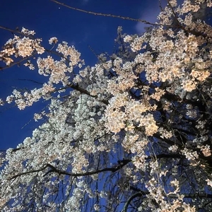 ナギの写メ日記｜ラブ&ピース 吉原格安店ソープ