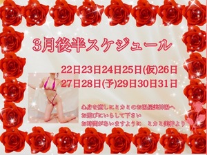ミカミの写メ日記｜プラチナム～PLATINUM～ 埼玉県・大宮格安店ソープ