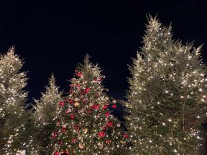 橘すみれの写メ日記｜ラブボート 吉原高級店ソープ