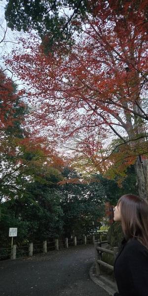 ちあきの写メ日記｜ルピナス 吉原高級店ソープ