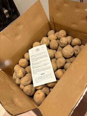 愛沢せれなの写メ日記｜リュクス～LUXE～ 吉原高級店ソープ