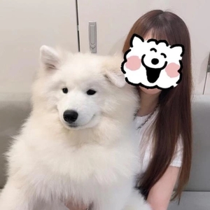 水瀬ゆずきの写メ日記｜リュクス～LUXE～ 吉原高級店ソープ