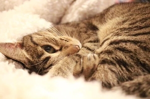 森下くるみの写メ日記｜リュクス～LUXE～ 吉原高級店ソープ