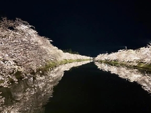 羽月めなの写メ日記｜リュクス～LUXE～ 吉原高級店ソープ