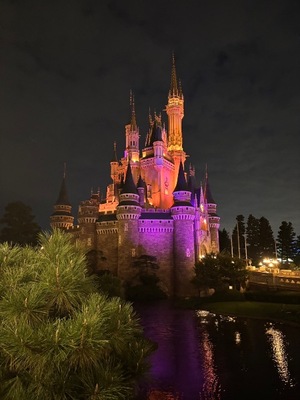 Kokonaの写メ日記｜ラグジュアリー 吉原高級店ソープ