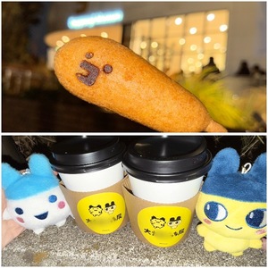 Koyukiの写メ日記｜ラグジュアリー 吉原高級店ソープ