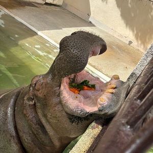 Ioriの写メ日記｜ラグジュアリー 吉原高級店ソープ