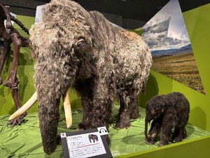 Ioriの写メ日記｜ラグジュアリー 吉原高級店ソープ