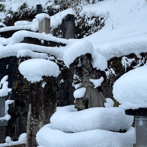 Ioriの写メ日記｜ラグジュアリー 吉原高級店ソープ