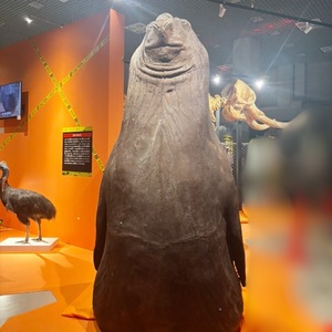 Ioriの写メ日記｜ラグジュアリー 吉原高級店ソープ