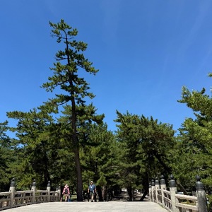 Hiyoriの写メ日記｜ラグジュアリー 吉原高級店ソープ