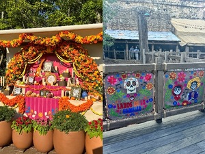 Mikuriの写メ日記｜ラグジュアリー 吉原高級店ソープ