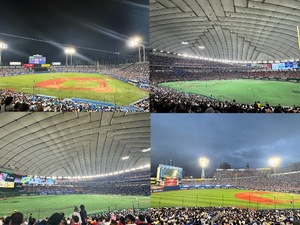 Mikuriの写メ日記｜ラグジュアリー 吉原高級店ソープ