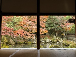 Mikuriの写メ日記｜ラグジュアリー 吉原高級店ソープ