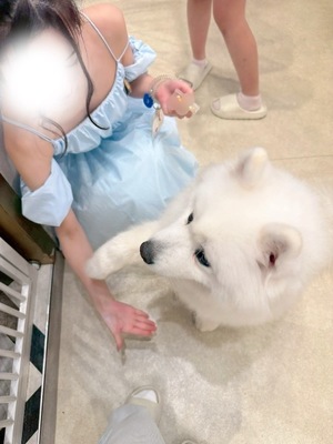 Kurumiの写メ日記｜ラグジュアリー 吉原高級店ソープ