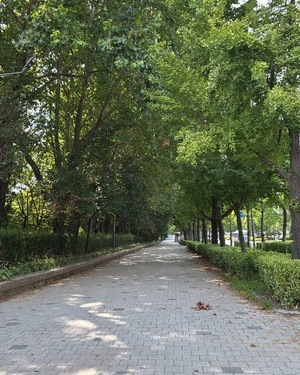 Raraの写メ日記｜ラグジュアリー 吉原高級店ソープ