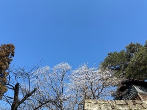 Otoの写メ日記｜ラグジュアリー 吉原高級店ソープ