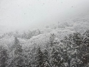 Otoの写メ日記｜ラグジュアリー 吉原高級店ソープ