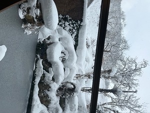 Otoの写メ日記｜ラグジュアリー 吉原高級店ソープ