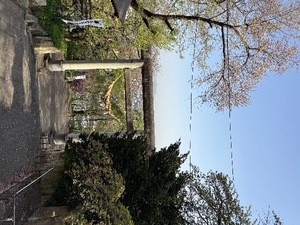 Otoの写メ日記｜ラグジュアリー 吉原高級店ソープ