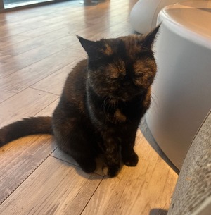 Fukaの写メ日記｜ラグジュアリー 吉原高級店ソープ