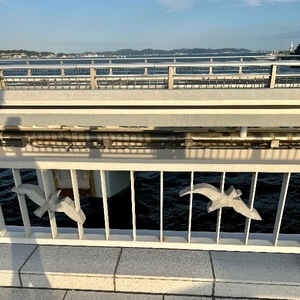 Karenの写メ日記｜ラグジュアリー 吉原高級店ソープ